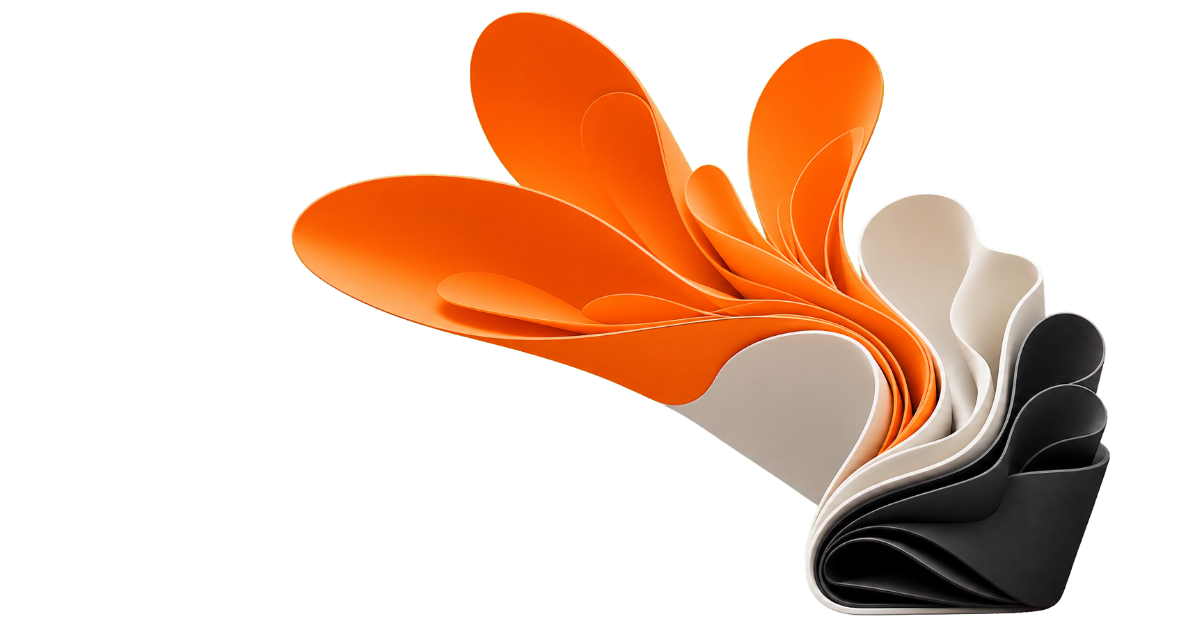 Black and warm-white folded editorial form unfolding into a broad orange bloom